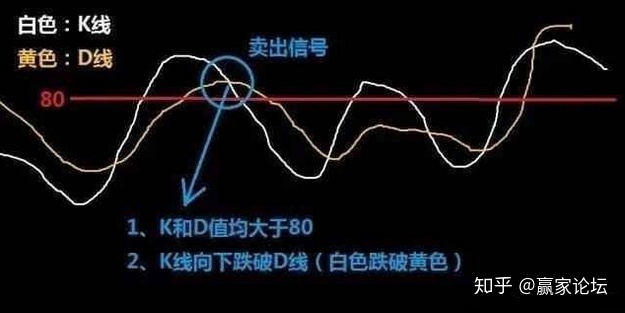 期期中彩app2025最新版殖民地建设画面