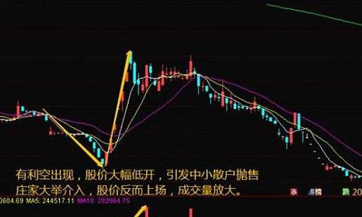 贵州药材APP