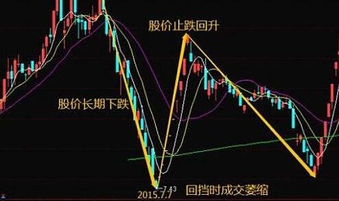威斯尼斯app安卓版二维码