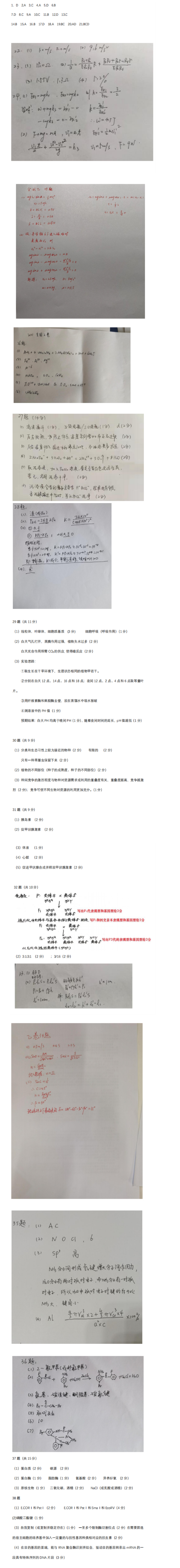 星际争霸重制版2025最新版神族部队展示