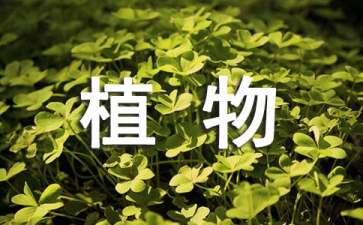 贵州药材APP