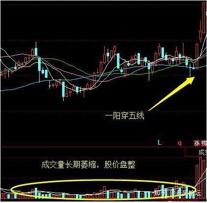 万能娱乐appV5.7专业版
