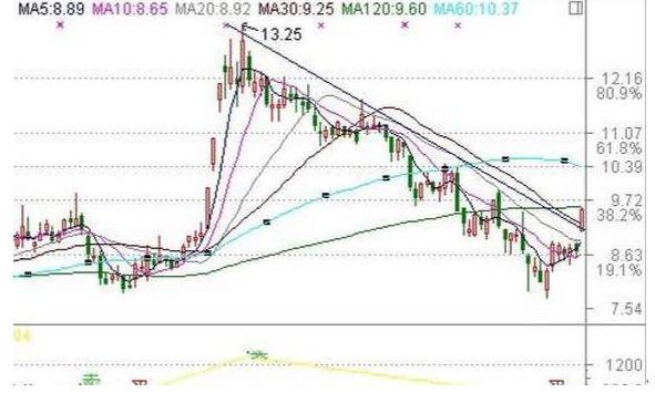 bet366app安卓版二维码