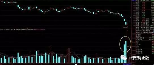 leyuapp官方版2025版角色选择界面