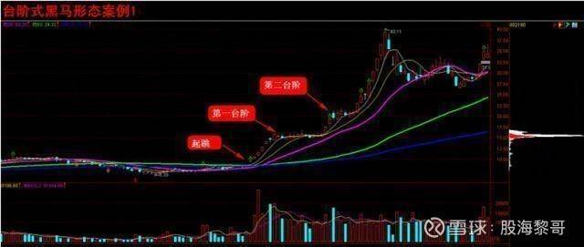 霸王邪恶联盟2025版仆从种类展示