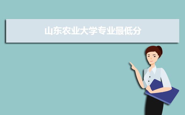 七彩祖玛4