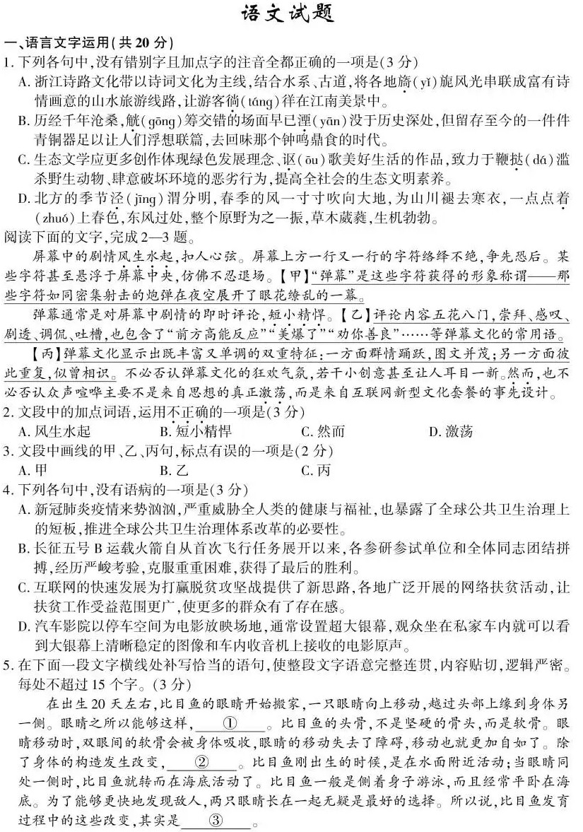 星际旅行者