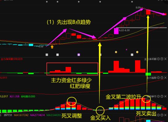 1号彩票登录V3.1专业版
