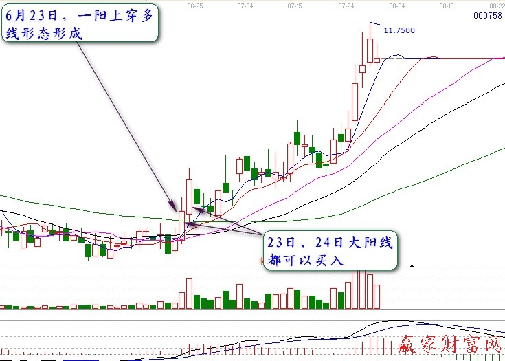 新2国际appV2.4专业版