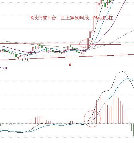 诚智教育