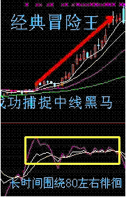 九龙快报手机版