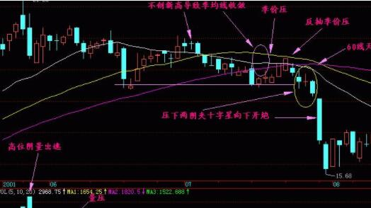 贵州药材APP