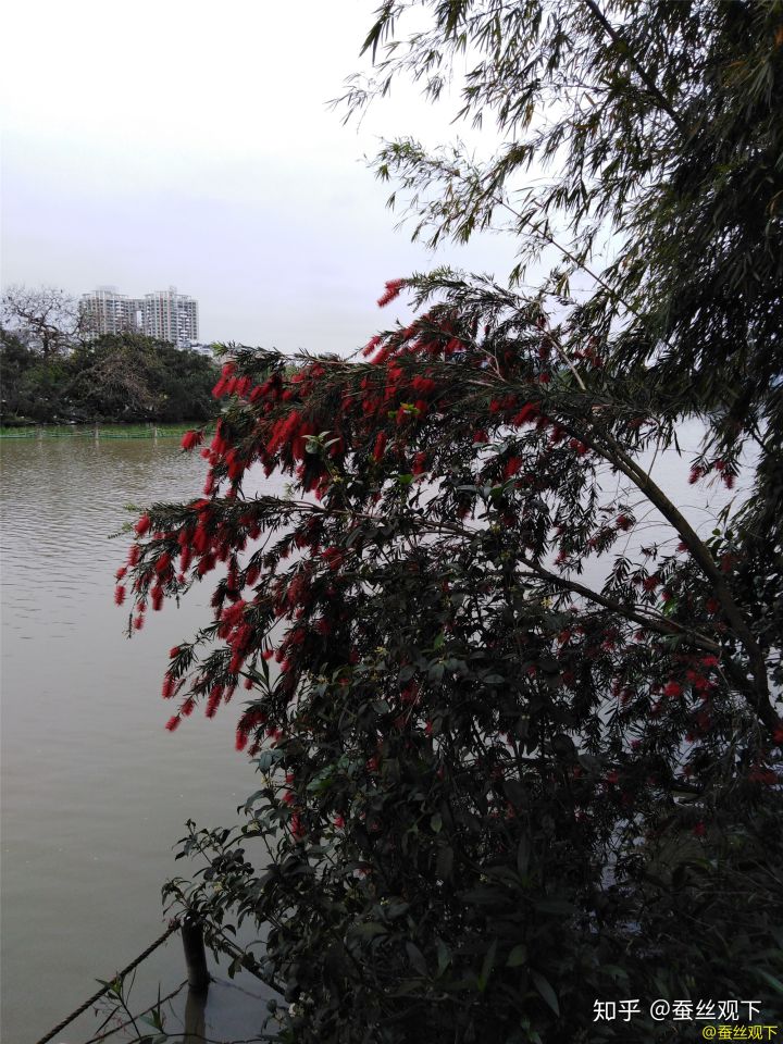 小熊洗车APP
