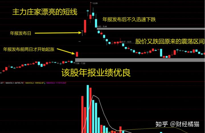 开云app官方官网 2025最新版 赛事场馆与观众氛围