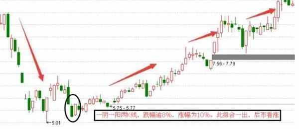 最大的体育平台登录