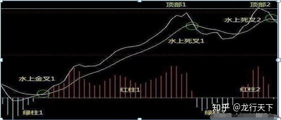 乐竞app2025最新版多人对战场景