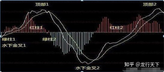 鸿博体育app安卓版二维码