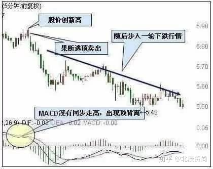 梭哈appV4.9专业版