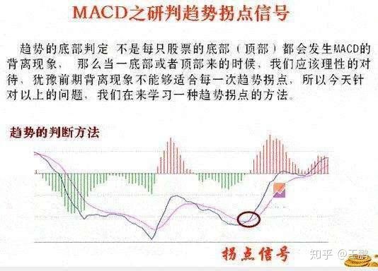 植物大战僵尸和睦小镇保卫战2025版角色自定义界面