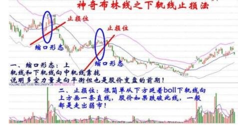 头条搜索极速版