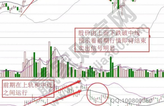 PG软件app