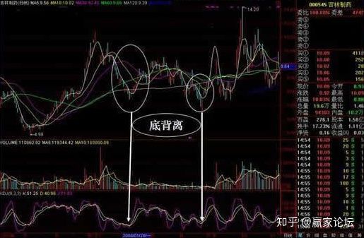 贵州药材APP