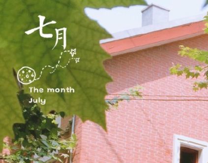 kai云体育app官网登录V1.4专业版