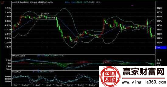 emc体育app安卓版二维码