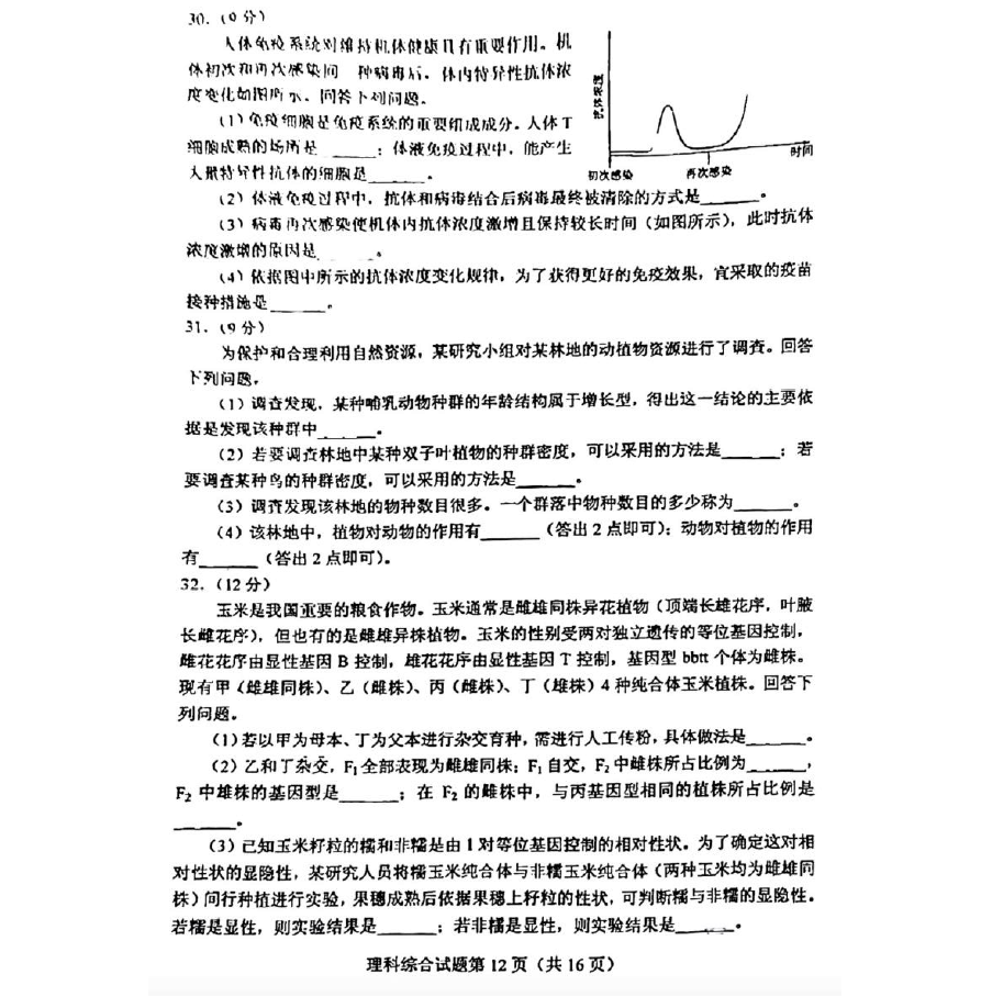 华康黑体W9(p)