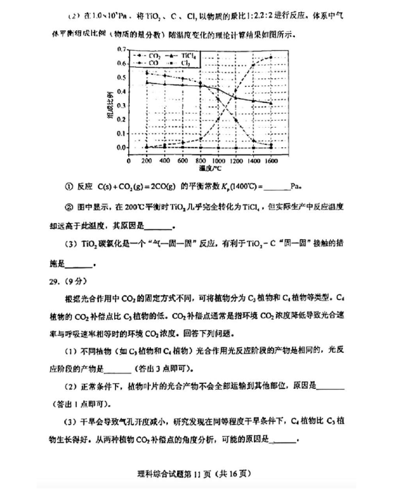 我的汤姆猫