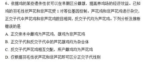 小熊洗车APP