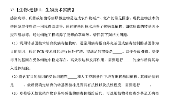 网易cc语音客户端