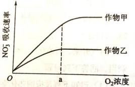 888真人app安卓版二维码