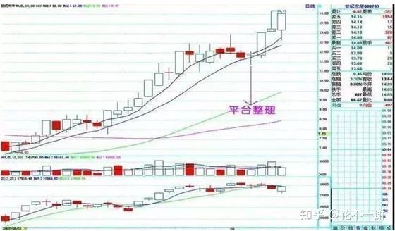 鼎盛国际appV3.5专业版