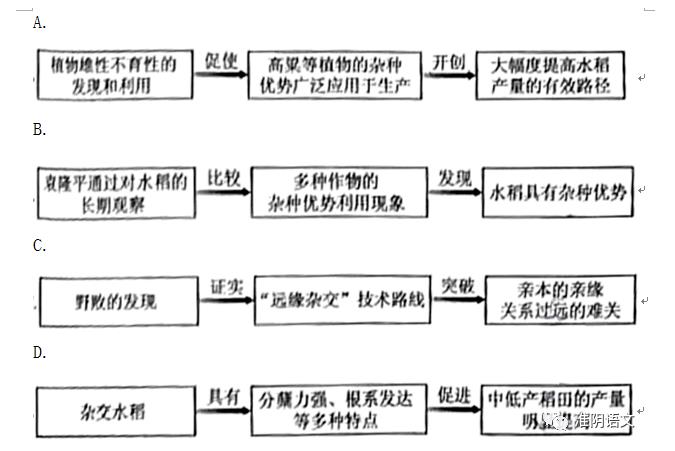Diana Photo双重曝光