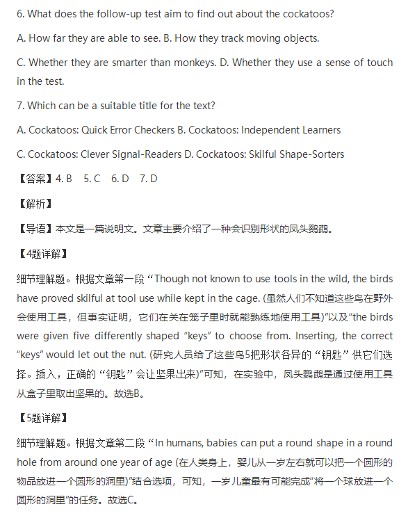 耀彩网appV2.4专业版