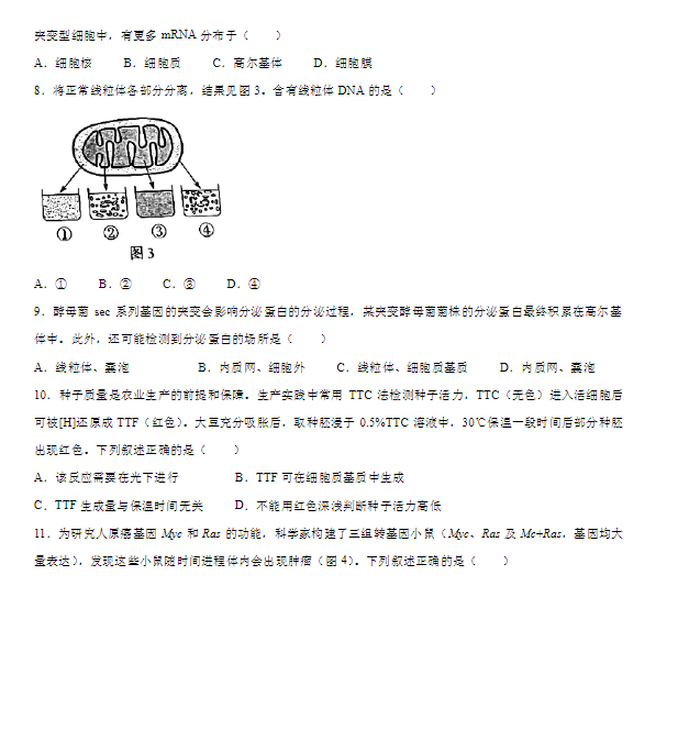 小熊洗车APP