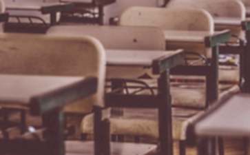 麻将胡了2appV1.2专业版