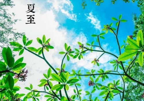 单机赢三张app 最新版本 多版本标题选择画面