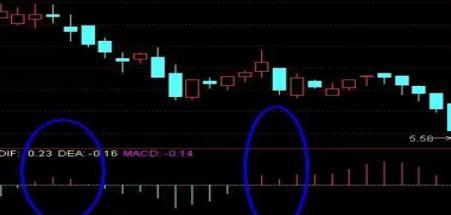 太阳城集团appV2.1专业版