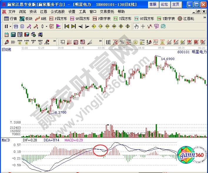 WHapp 2025最新版 九大职业展示