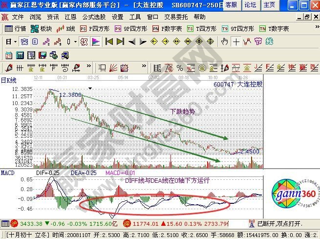 叶根友神工体