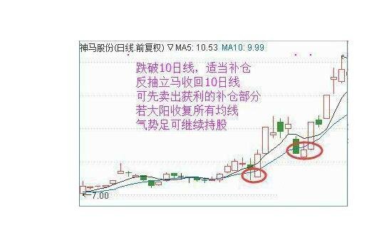 金梅树干美工字体