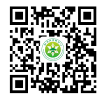 星际争霸1.08单机完整版