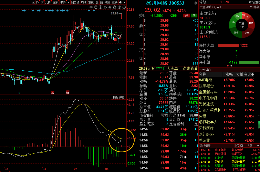kaiyun体育app官网app下载2025最新版战斗与变形系统展示