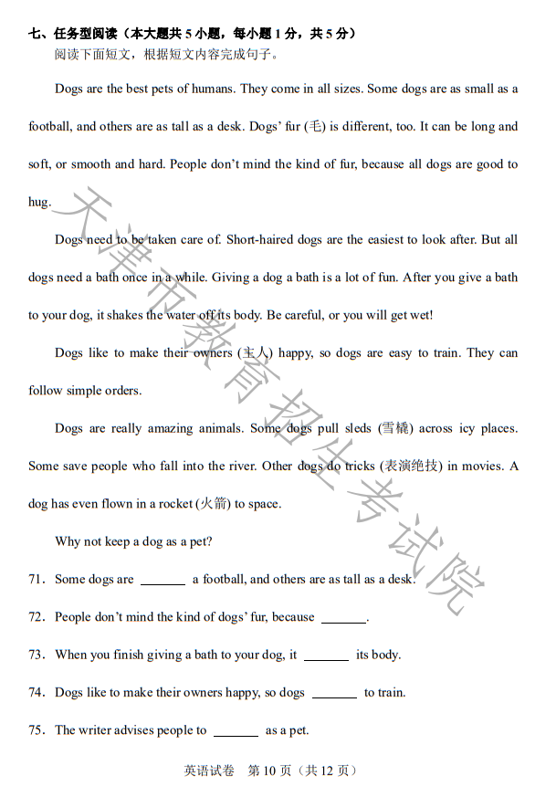 ag视讯app下载2025最新版角色自定义与装备界面