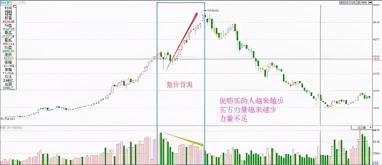 开云app网站登录新版本时装外观展示