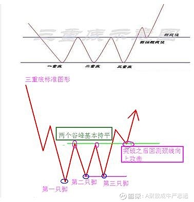 LGD电子app安卓版二维码