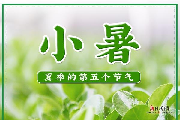 云开体育官网登录入口安卓版二维码