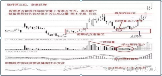 B33体育app2025版多人团队副本战斗画面